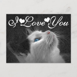 Postal Imagen de gato de ojos azules que te amo