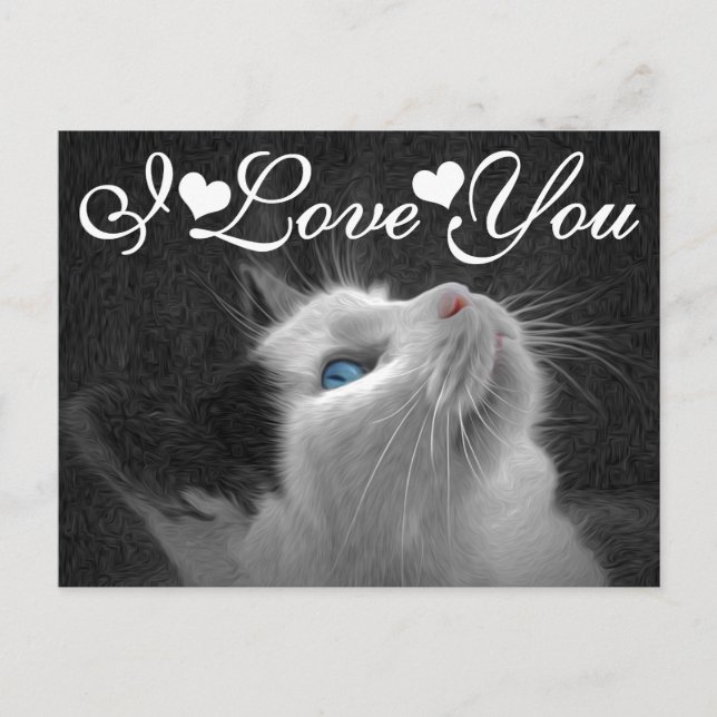 Postal Imagen de gato de ojos azules que te amo (Anverso)