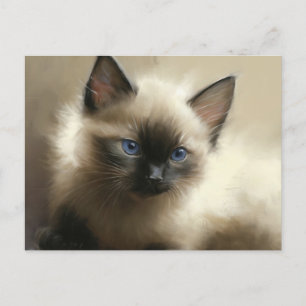 Postal Imagen De La Inocencia Retrato Siamés De Gatito