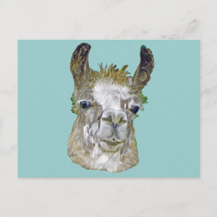 Postal Imagen de Llama