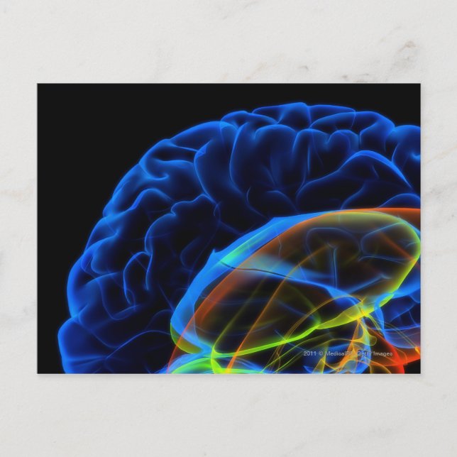 Postal Imagen de rayos X del cerebro (Anverso)