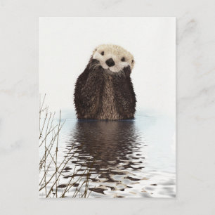 Postal Imagen de vida silvestre Cute Otter