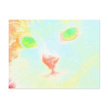 Imagen del gato del gato del gato de la marca Past