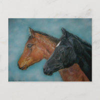 imagen equina de dos caballos bebés muy lindos