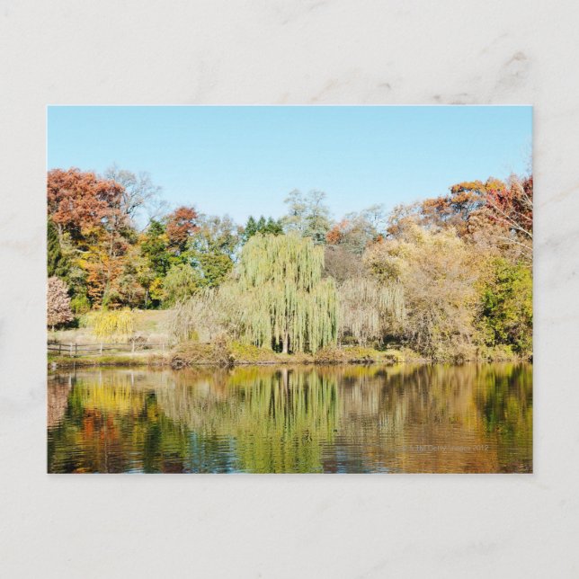 Postal Imagen espejada del hermoso otoño multicolor (Anverso)