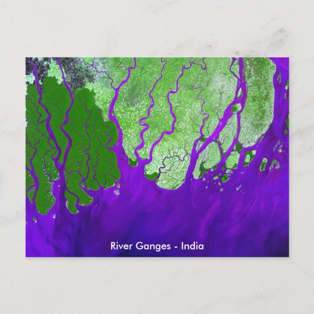 Postal Imagen satelital Delta del río Ganges - India (Anverso)