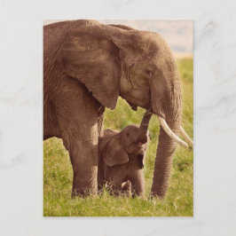 Postal Imágenes de Getty | Elefante y bebé