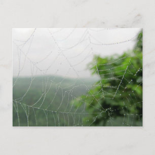 Postal imágenes de naturaleza