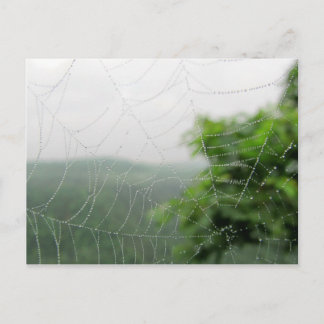 Postal imágenes de naturaleza