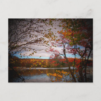 Postal imágenes de naturaleza