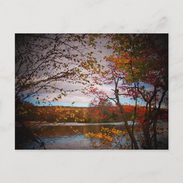 Postal imágenes de naturaleza (Anverso)