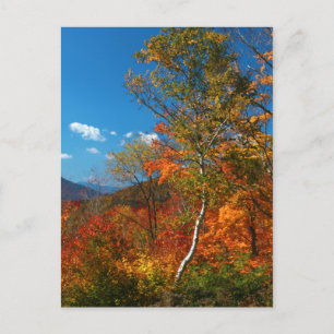 Postal Imágenes de otoño