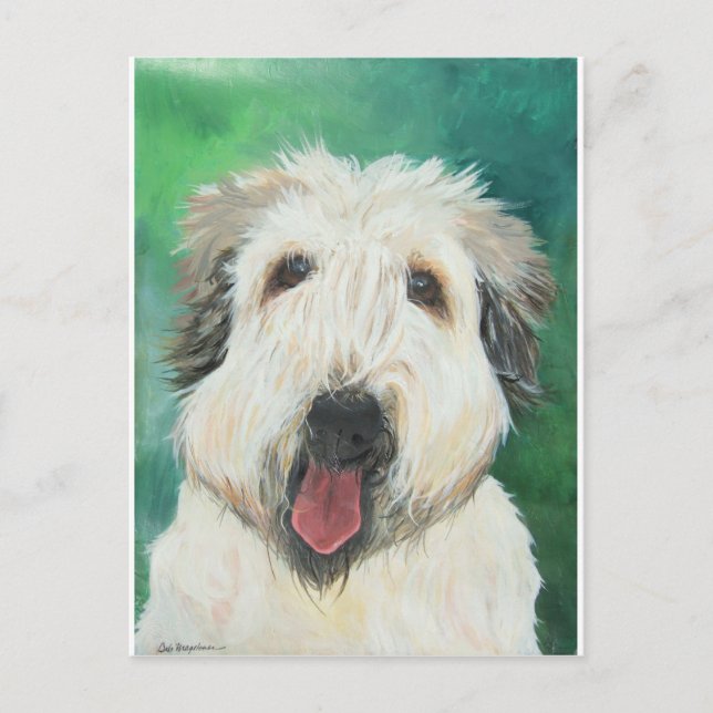 Postal Imágenes de perro de Soft Wheaton Terrier (Anverso)