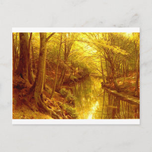 Postal imágenes forestales-8