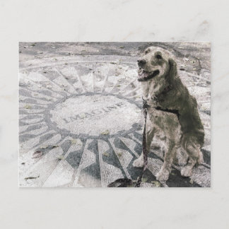 Postal "Imagine" o "Golden en campos de fresas"