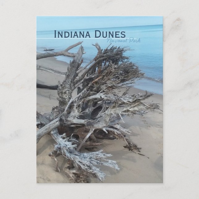 Postal Imán del Parque Nacional Driftwood Indiana Dunes (Anverso)