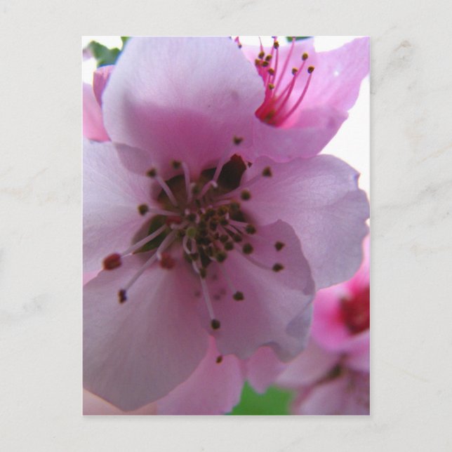 POSTAL IMG_0037_3 (Anverso)