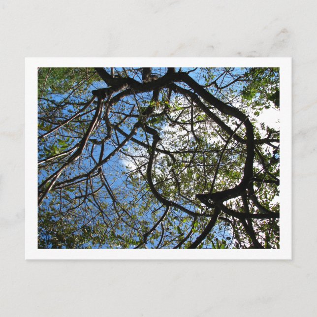 POSTAL IMG_0078 (Anverso)