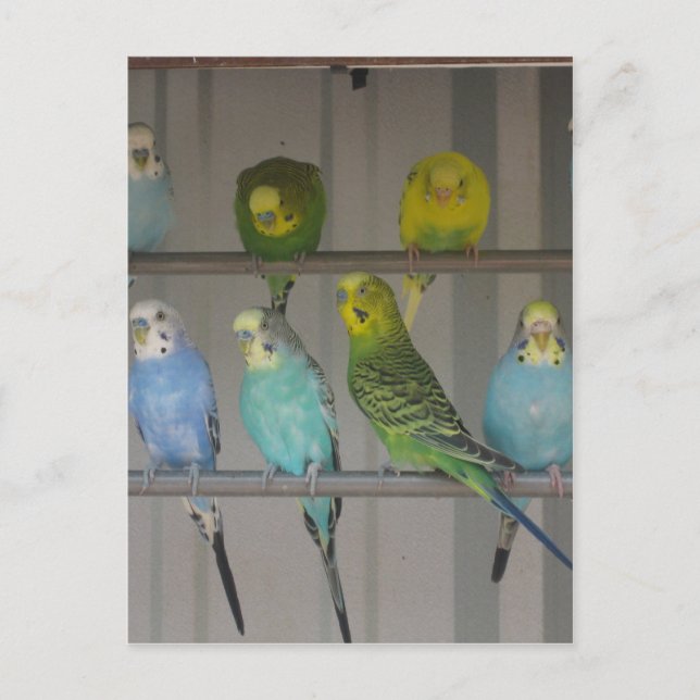 POSTAL IMG_0348 (Anverso)