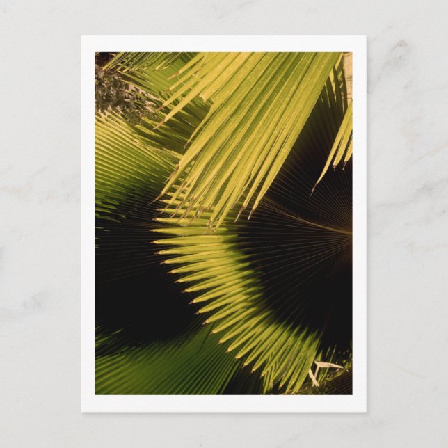 POSTAL IMG_0453 (Anverso)