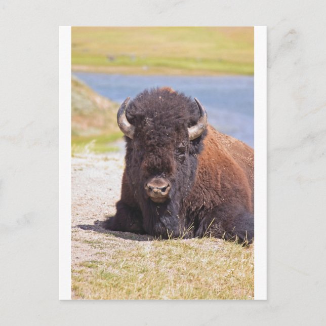 POSTAL IMG_1227_1 (Anverso)