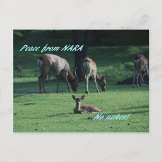 POSTAL IMG_1652 NARA