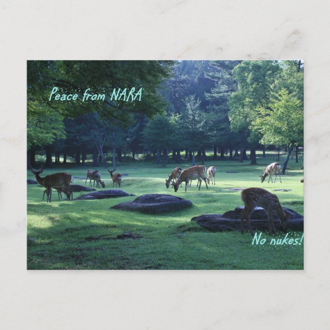 POSTAL IMG_1664 NARA (Anverso)