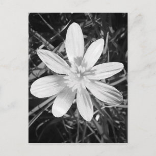 Postal IMG_20150324_210135.jpg