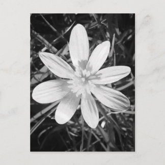 Postal IMG_20150324_210135.jpg