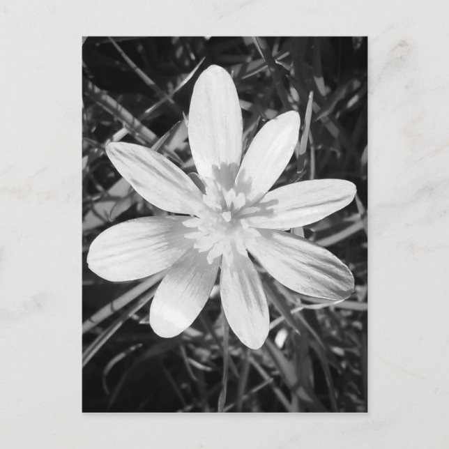 Postal IMG_20150324_210135.jpg (Anverso)