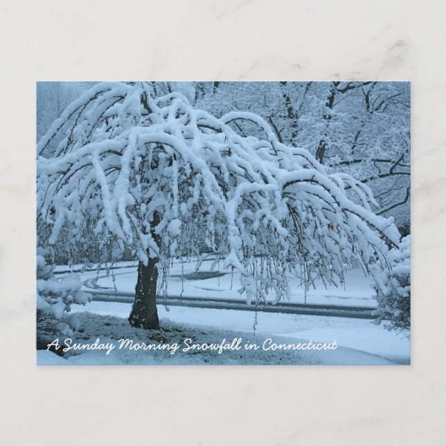 Postal IMG_2425_2, Una nevada de domingo por la mañana en (Anverso)