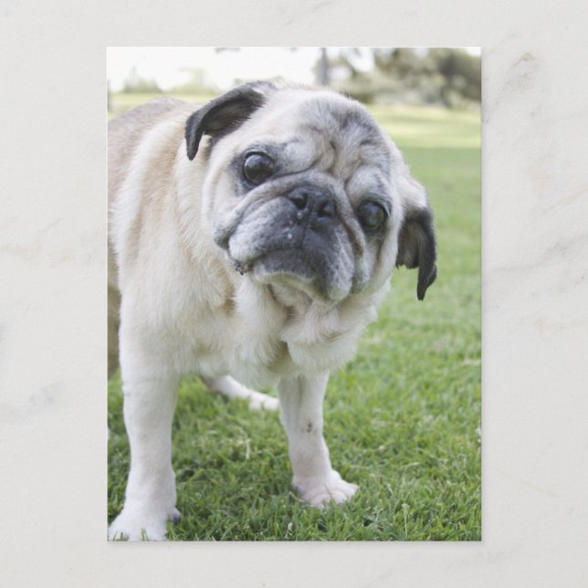 POSTAL IMG_2562 (Anverso)