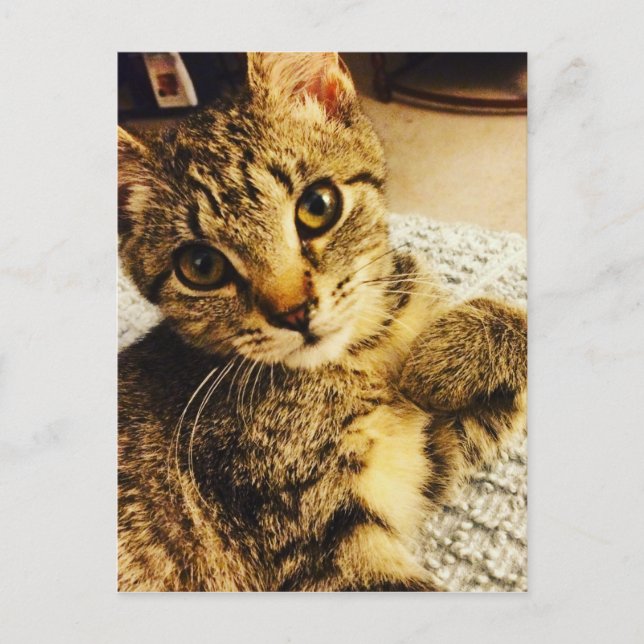 POSTAL IMG_3770.JPG (Anverso)