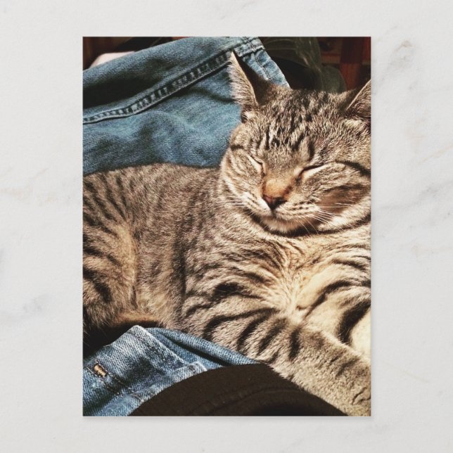 POSTAL IMG_3960.JPG (Anverso)