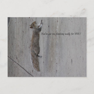 Postal IMG_3995, ¡me tienes trepando muros para TI!