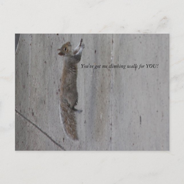 Postal IMG_3995, ¡me tienes trepando muros para TI! (Anverso)