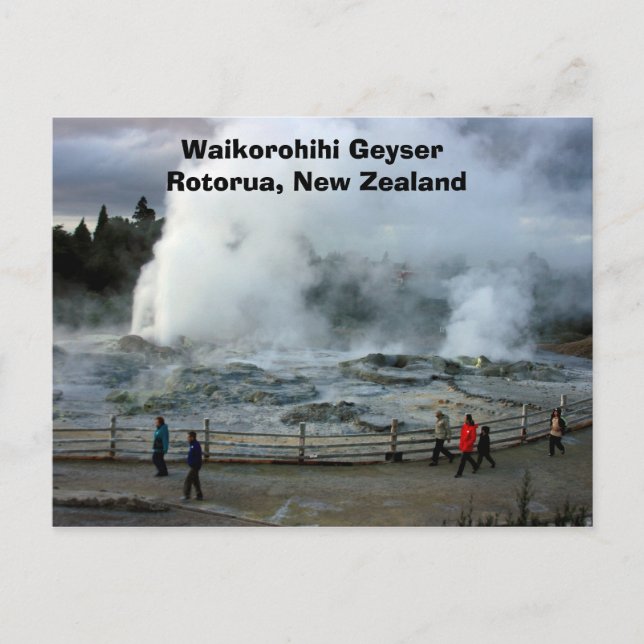 Postal IMG_4274, Waikorohihi Geyser Rotorua, Nueva Zeland (Anverso)