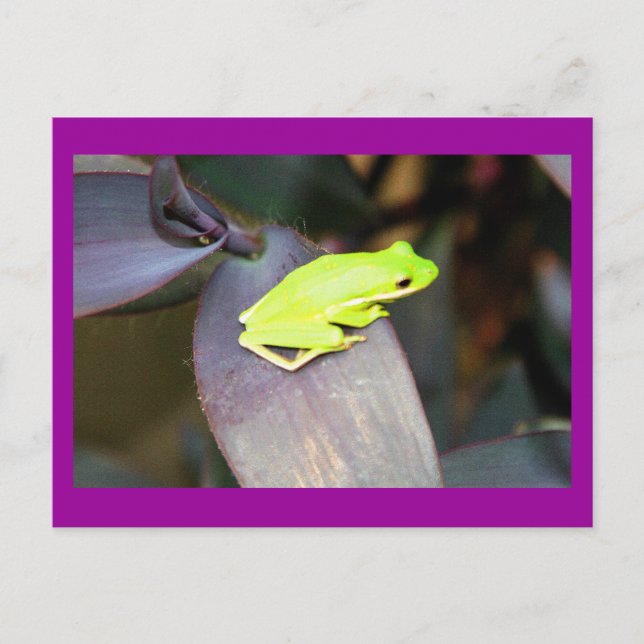 POSTAL IMG_6159 (Anverso)