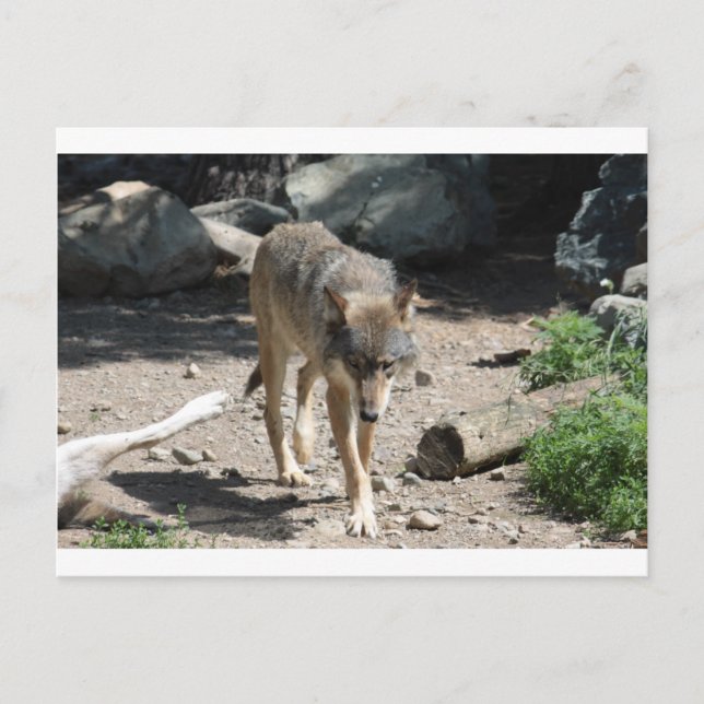 POSTAL IMG_7805 (Anverso)