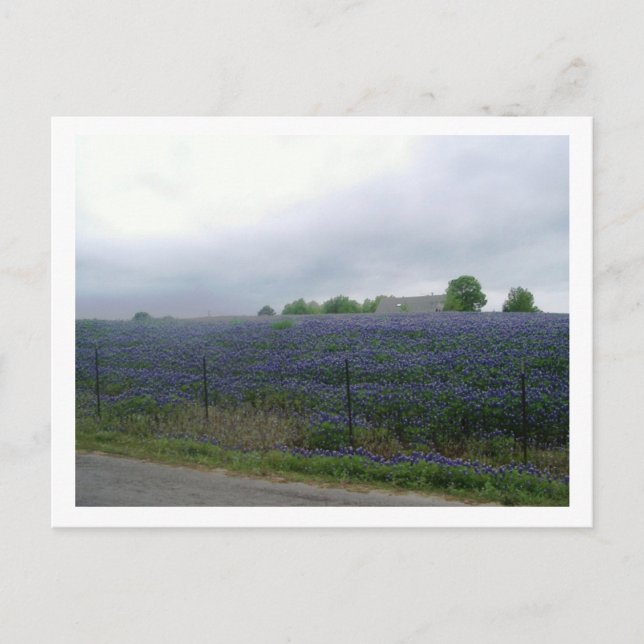 POSTAL IMGP4303 (Anverso)