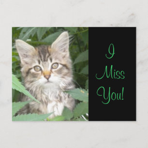 Postal ¡IMisYou! Gatito