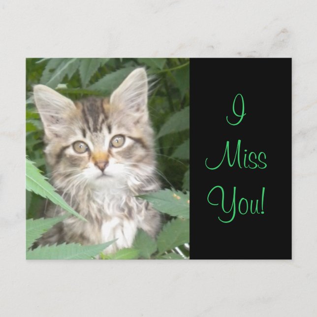 Postal ¡IMisYou! Gatito (Anverso)
