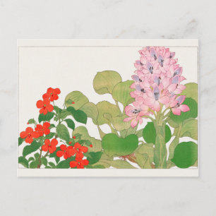Postal Impatiens, jacinto de agua por Tanigami Konan