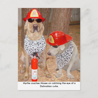 Postal Impostor