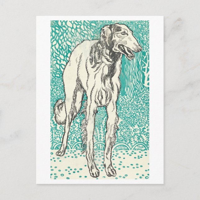 Postal impresa de Moriz Jung Greyhound (Anverso)