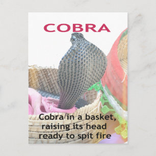 Postal Impresión artística de Cobra en Cesta