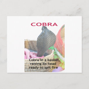 Postal Impresión artística de Cobra en Cesta