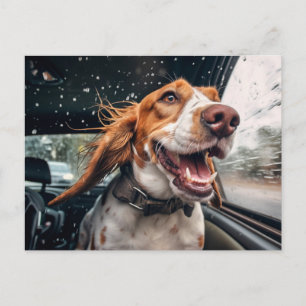 Postal Impresión artística de perro emocionado en un pase