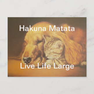 Postal Impresión asombrosa del arte de la peluca de gatos