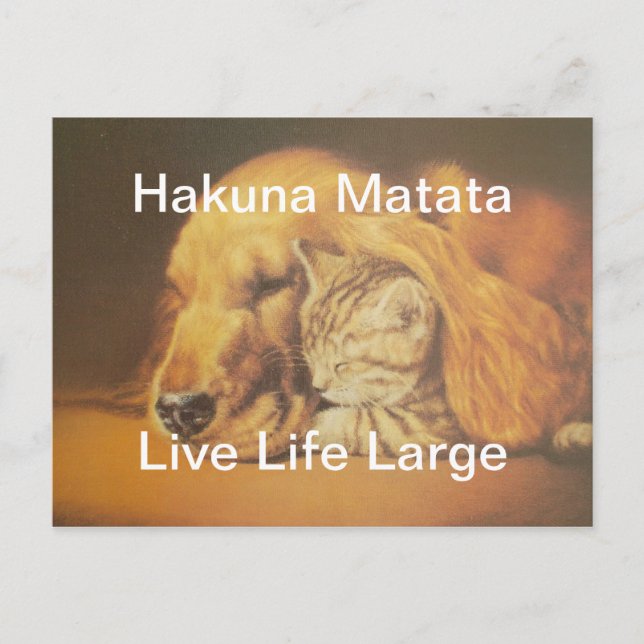 Postal Impresión asombrosa del arte de la peluca de gatos (Anverso)